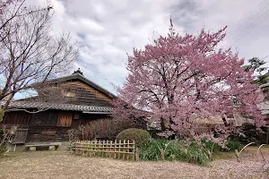 蜂須賀桜と武家屋敷の会 image
