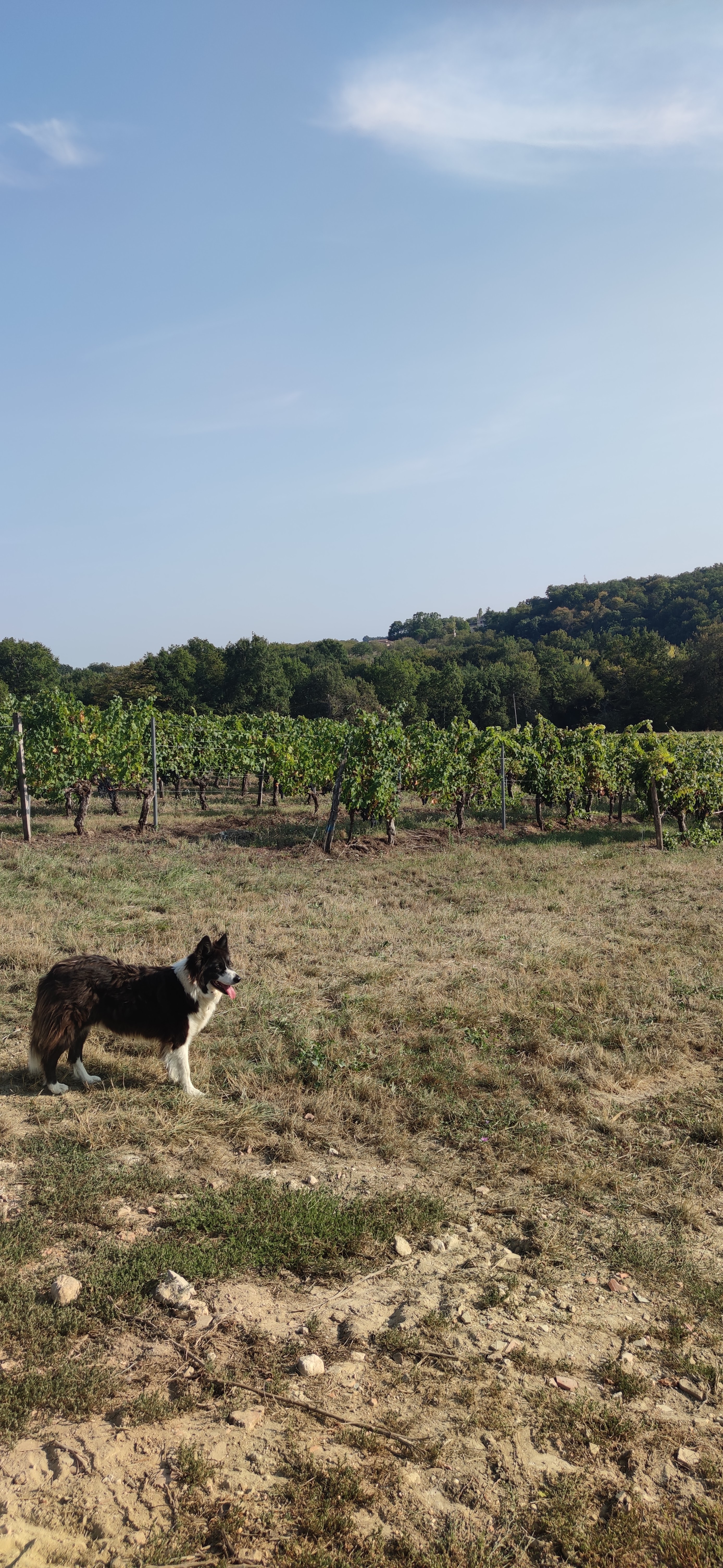 Photo n° 5 de l'avis de Elise.a fait le 19/09/2020 à 16:35