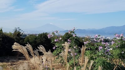 （株）永田農園