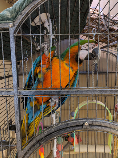 Pet Store «Perfect Pets», reviews and photos, 6840 S University Blvd #410, Centennial, CO 80122, USA