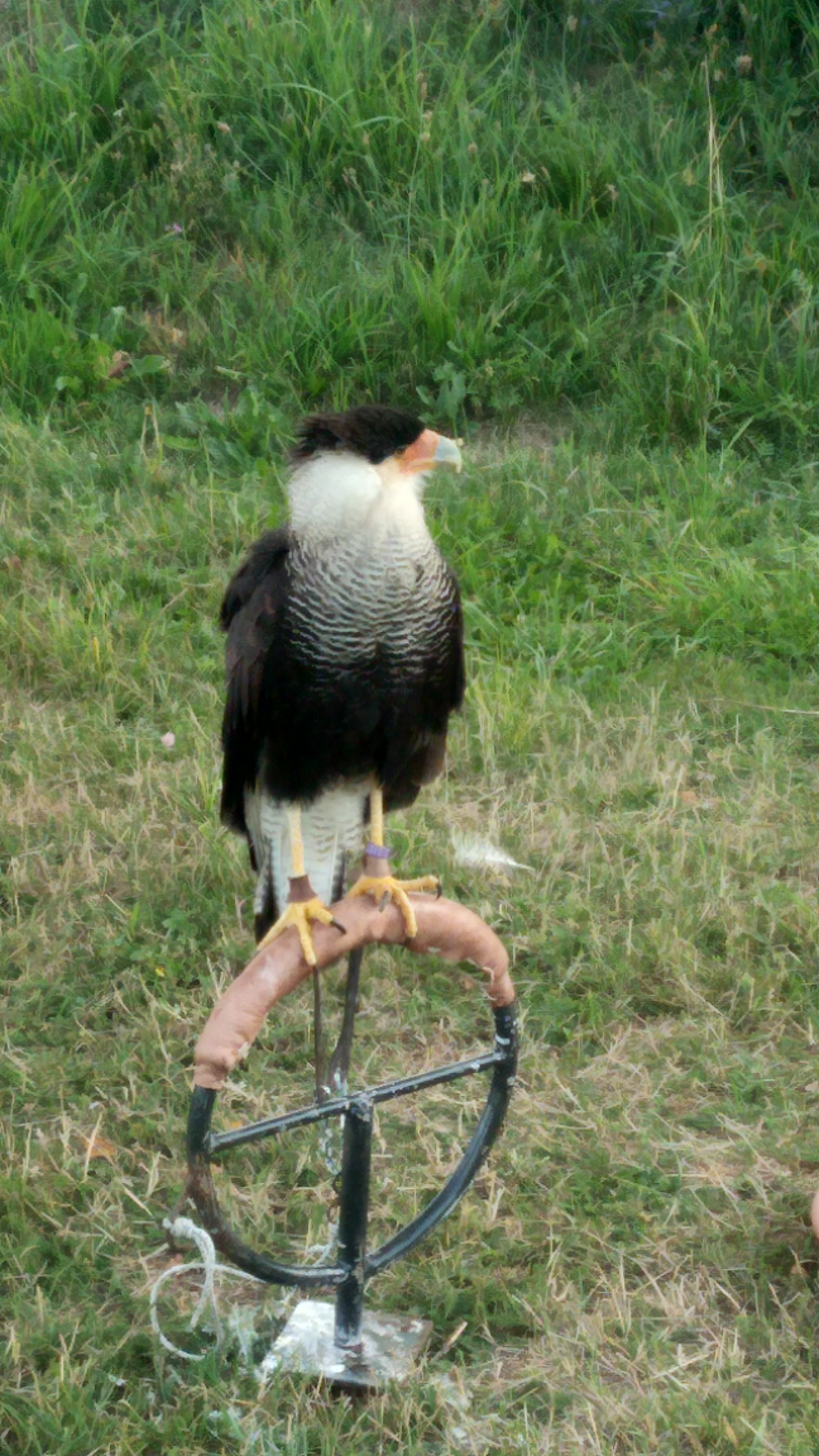 Photo n° 16 de l'avis de Lionel,.e fait le 08/08/2019 à 09:32