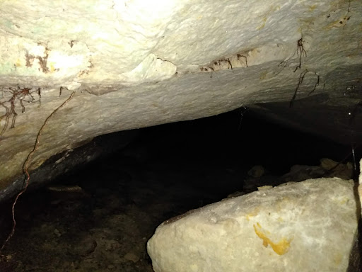 Nature Preserve «Bruce Vento Nature Sanctuary», reviews and photos, 4th St E, St Paul, MN 55106, USA