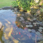 Photo n°3 de l'avis de Germano.i fait le 15/04/2024 à 10:22 sur le  Trattoria Sfoggia Ivano à Selva del Montello