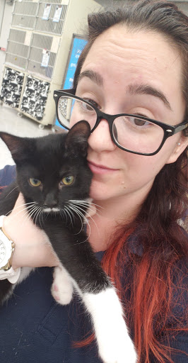 Pet Supply Store «Petco Animal Supplies», reviews and photos, 8111 W Broward Blvd, Plantation, FL 33324, USA