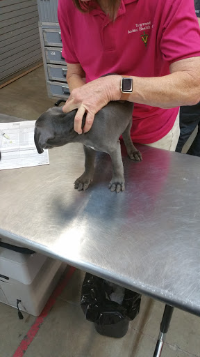 Pet Supply Store «Petco Animal Supplies», reviews and photos, 200 Center Blvd S, Christiana, DE 19702, USA