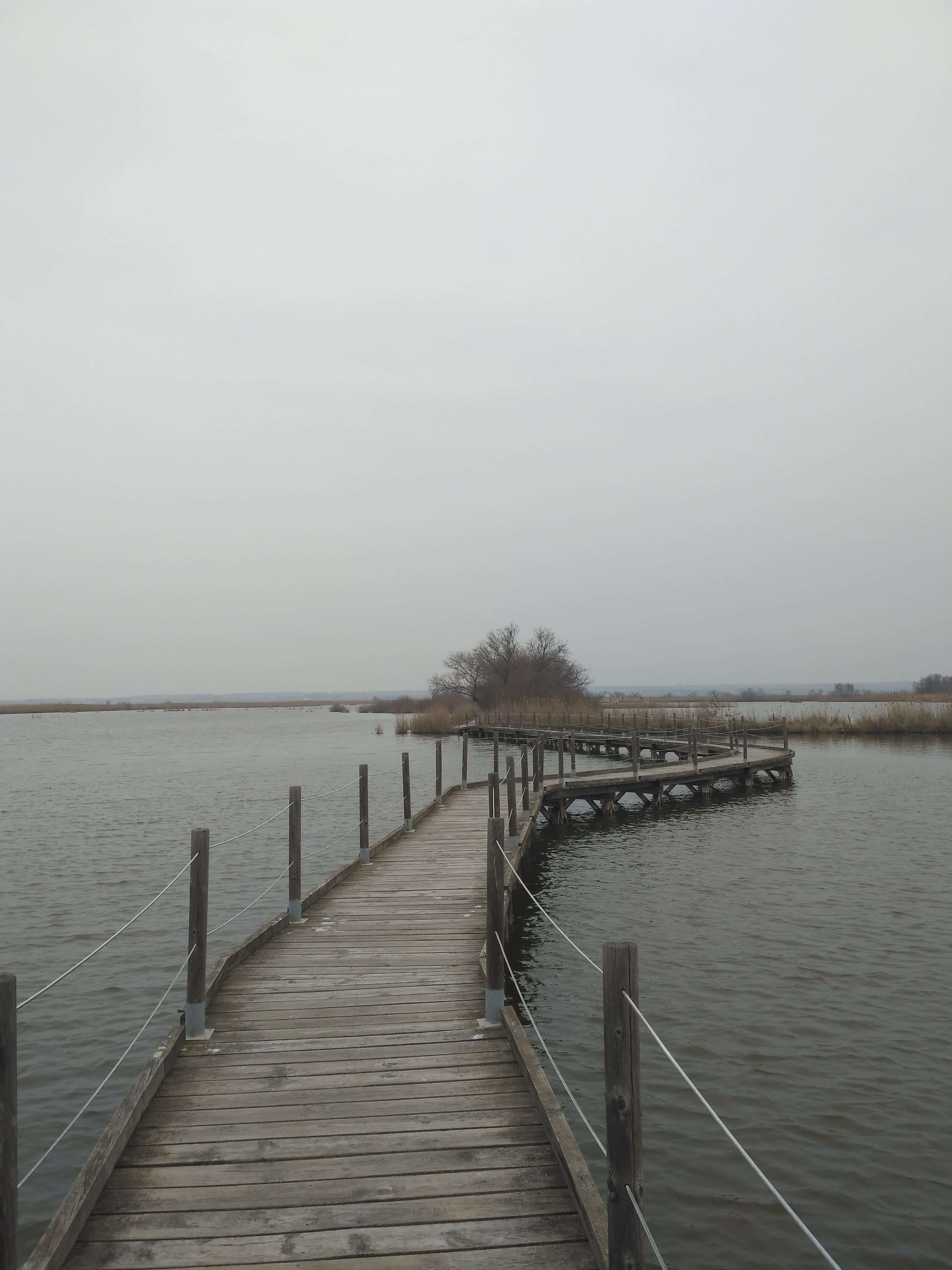 Photo n° 3 de l'avis de Cecile.a fait le 28/02/2018 à 20:50