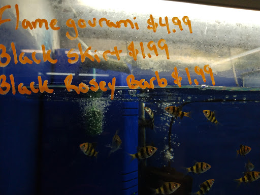 Pet Store «Southside Aquatics», reviews and photos, 2039 Pleasanton Rd, San Antonio, TX 78221, USA