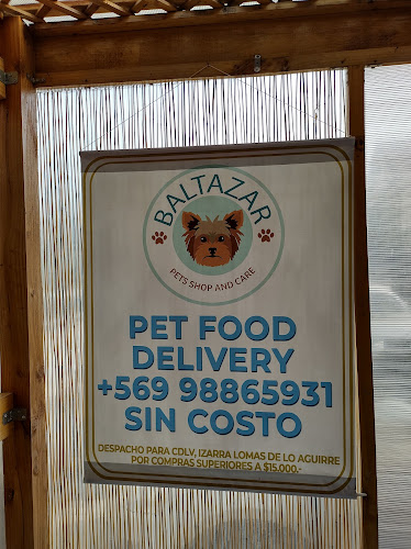 Baltazar Mascotas - Mercado