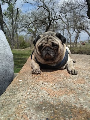 Copperas Cove City Park - photo 60