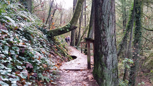 Park «Marquam Nature Park», reviews and photos, SW Marquam St, Portland, OR 97201, USA