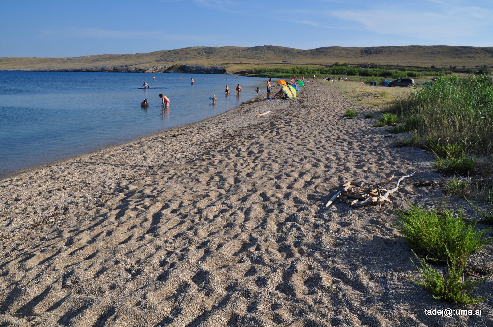 Old Povljana beach'in fotoğrafı - rahatlamayı sevenler arasında popüler bir yer