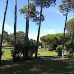 Photo n°5 de l'avis de Francesca.e fait le 25/06/2021 à 11:42 sur le  Stella Maris à San Michele al Tagliamento