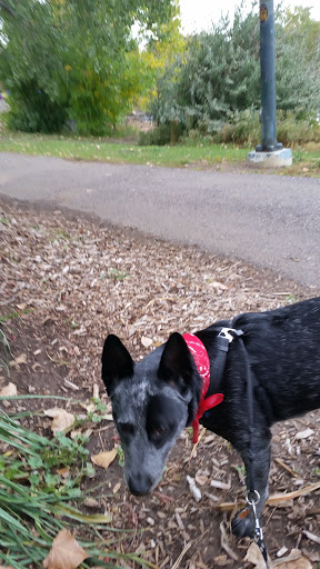 Park «Harvey Park», reviews and photos, 2120 S Tennyson Way, Denver, CO 80219, USA