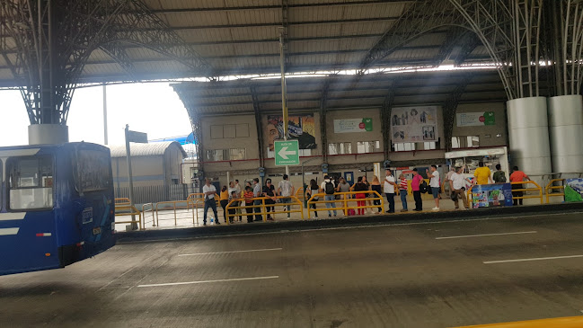 Opiniones de Terminal Rio Daule en Guayaquil - Servicio de transporte