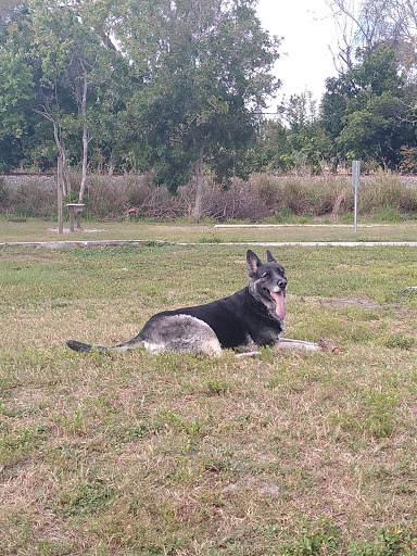 Park «Cliff Stephens Park», reviews and photos, 600 Fairwood Ave, Clearwater, FL 33759, USA