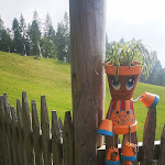 Photo n°2 de l'avis de Maddalena.a fait le 22/06/2022 à 18:31 sur le  Baita Van Spitz à Frassilongo