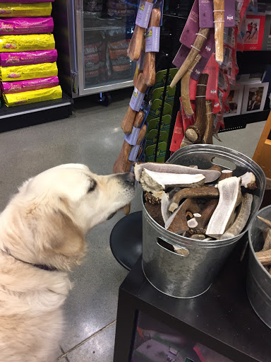 Pet Supply Store «Paddywack», reviews and photos, 15407 Main St #101, Bothell, WA 98012, USA