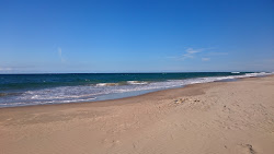 Photo de Mcloughlins Beach avec un niveau de propreté de très propre