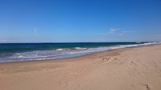 Mcloughlins Beach