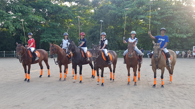 Comentarii opinii despre Colts Polo & Riding