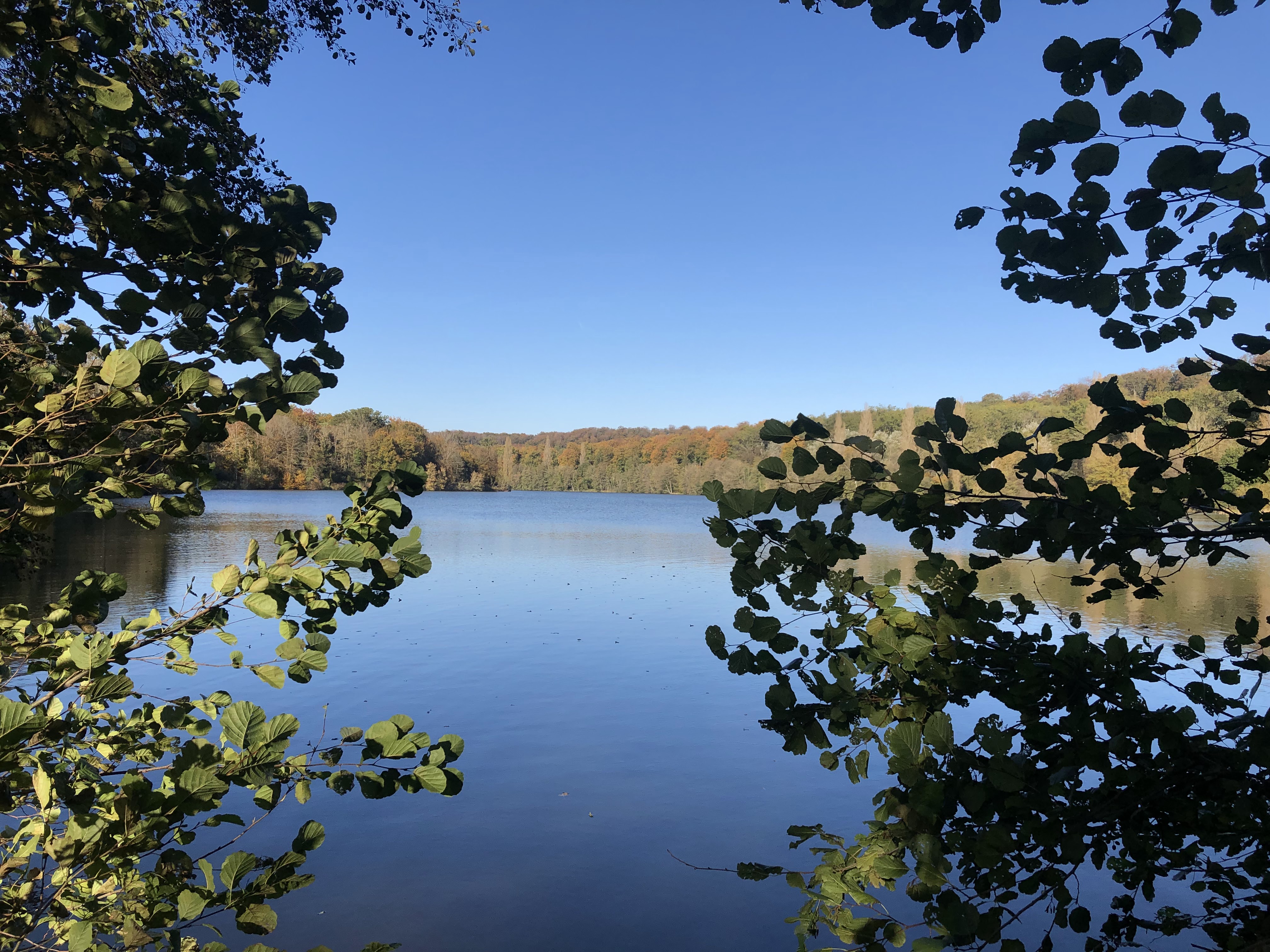 Photo n° 3 de l'avis de Mickael.e fait le 09/10/2019 à 20:50