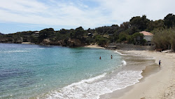 Plage du Pradeau'in fotoğrafı uçurumlarla desteklenmiş
