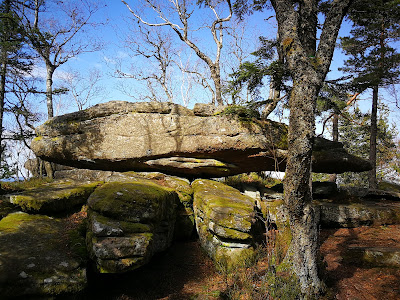 Massif du Taennchel à Ribeauvillé