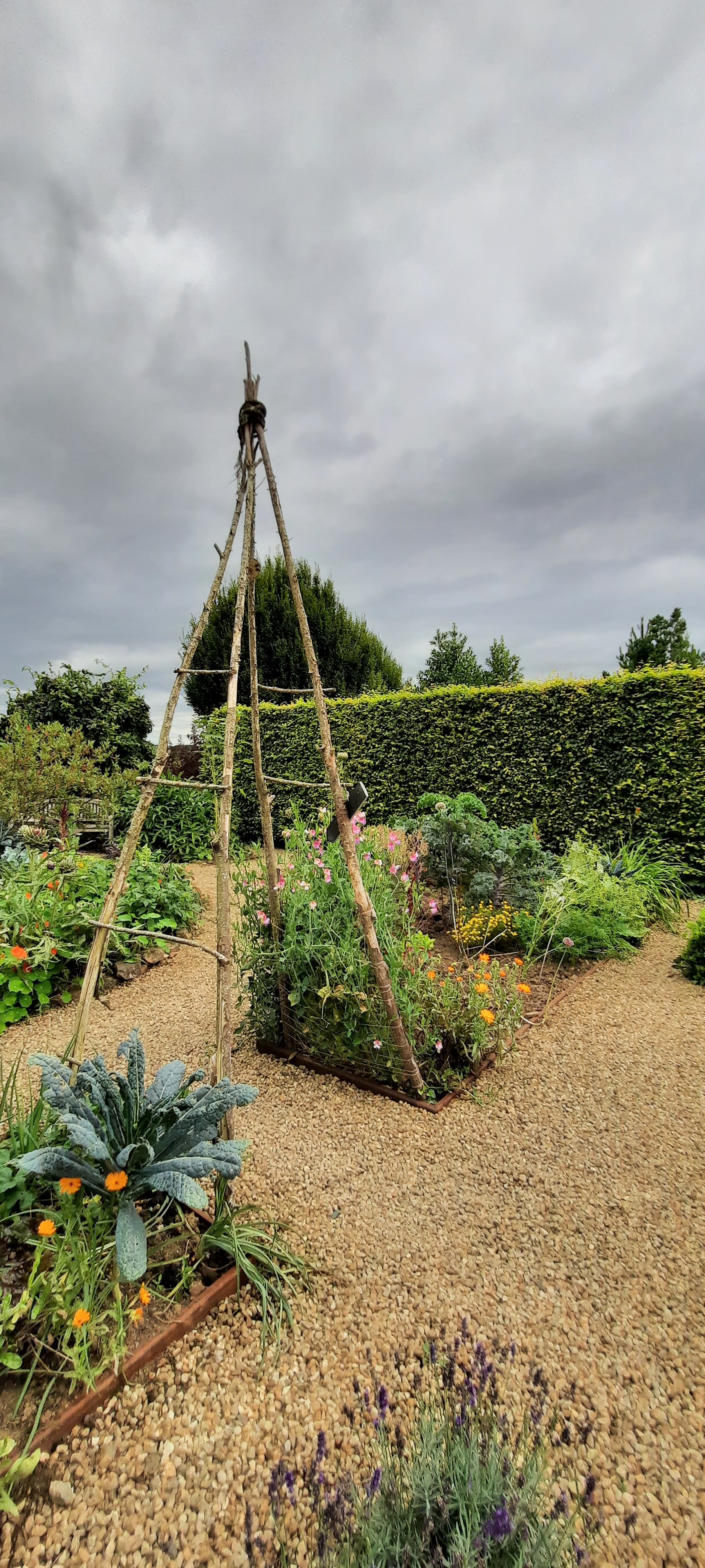 Photo n° 4 de l'avis de Dominique.l fait le 19/08/2021 à 17:52