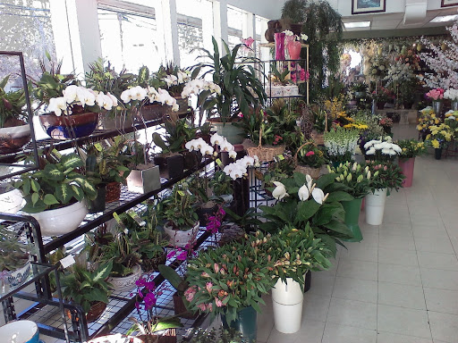 Florist «Flowers by Maria», reviews and photos, 147 NJ-27, Edison, NJ 08820, USA