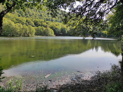Lac des Picades à Saint-Chély-d'Aubrac