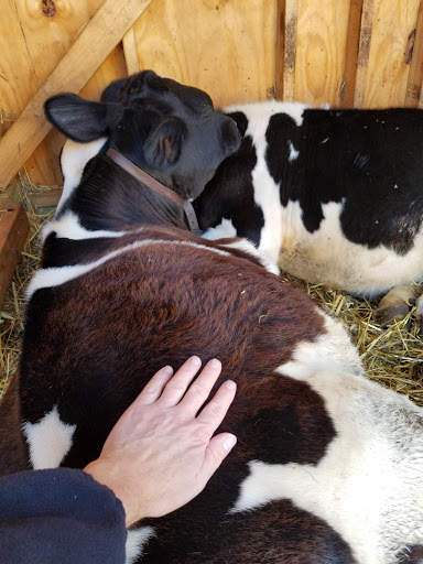 History Museum «OIiver Kelley Farm», reviews and photos, 15788 Kelly Farm Rd NW, Elk River, MN 55330, USA