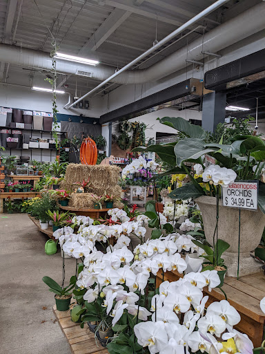 Florist «Metropolitan Plant & Flower Exchange Inc.», reviews and photos, 2125 Fletcher Ave, Fort Lee, NJ 07024, USA