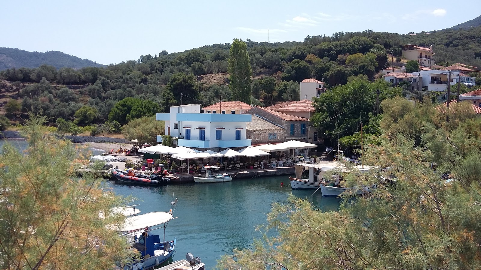 Skala Sikamineas'in fotoğrafı vahşi alan