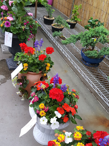 Garden Center «Dees Nursery & Florist», reviews and photos, 69 Atlantic Ave, Oceanside, NY 11572, USA