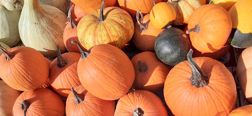 Vitamin & Supplements Store «Natures Way Health Food Store», reviews and photos, 18 E 7th St, Mountain Home, AR 72653, USA