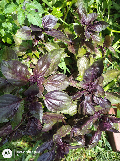 Thrift Store «Second Blessing Thrift Store Inc.», reviews and photos, 2323 Central Ave, Wichita, KS 67214, USA