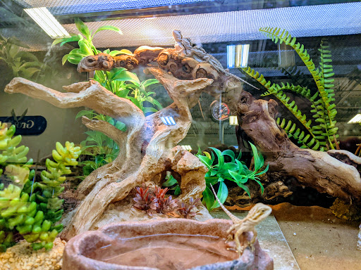 Pet Supply Store «PetSmart», reviews and photos, 3211 Peoples St, Johnson City, TN 37604, USA