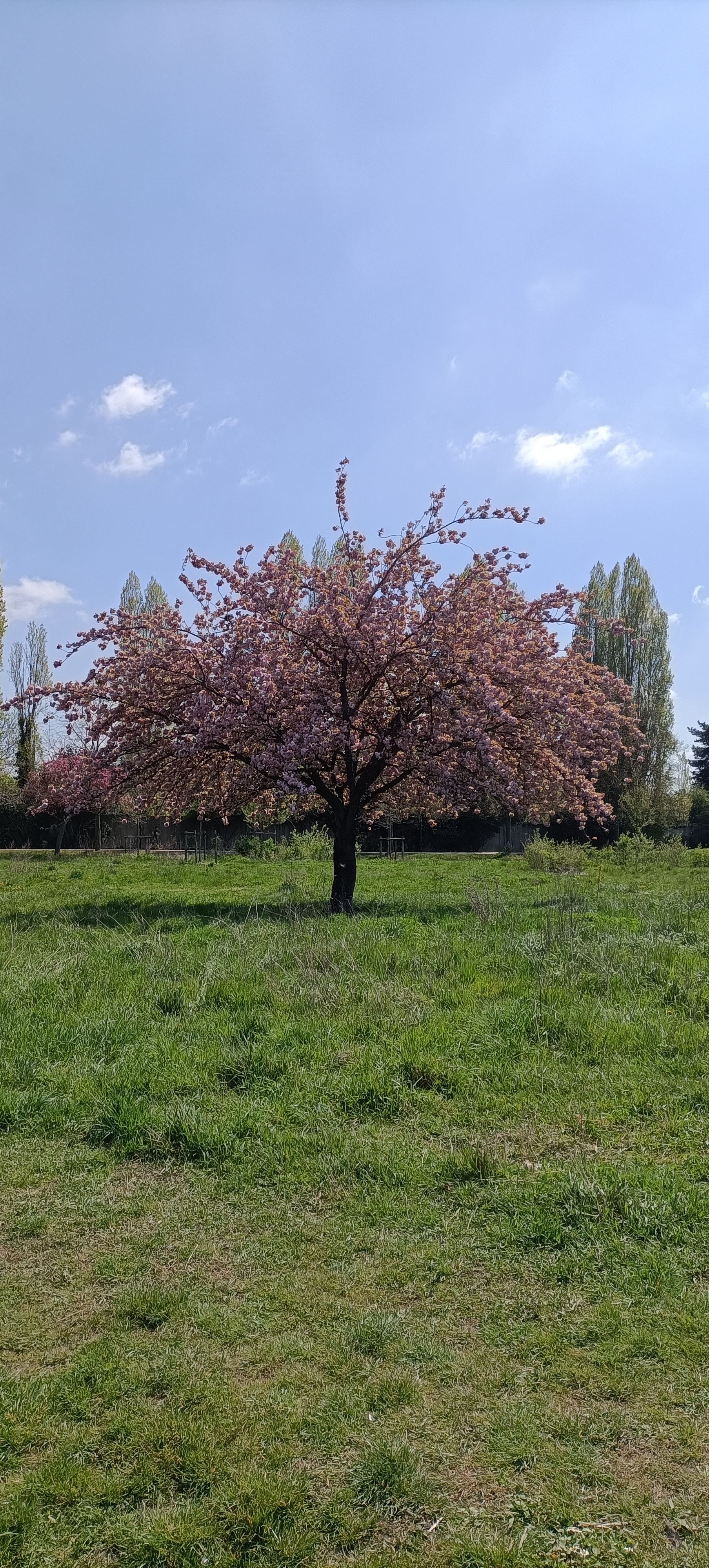 Photo n° 44 de l'avis de Seb.s fait le 19/04/2023 à 15:12