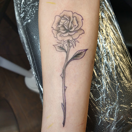 Explore tree sleeve tattoo ideas, creative tattoo ideas in Lexington, available at Tempest Tattoo Studio