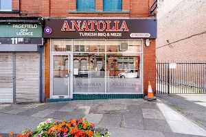 Anatolia Turkish BBQ & Meze image