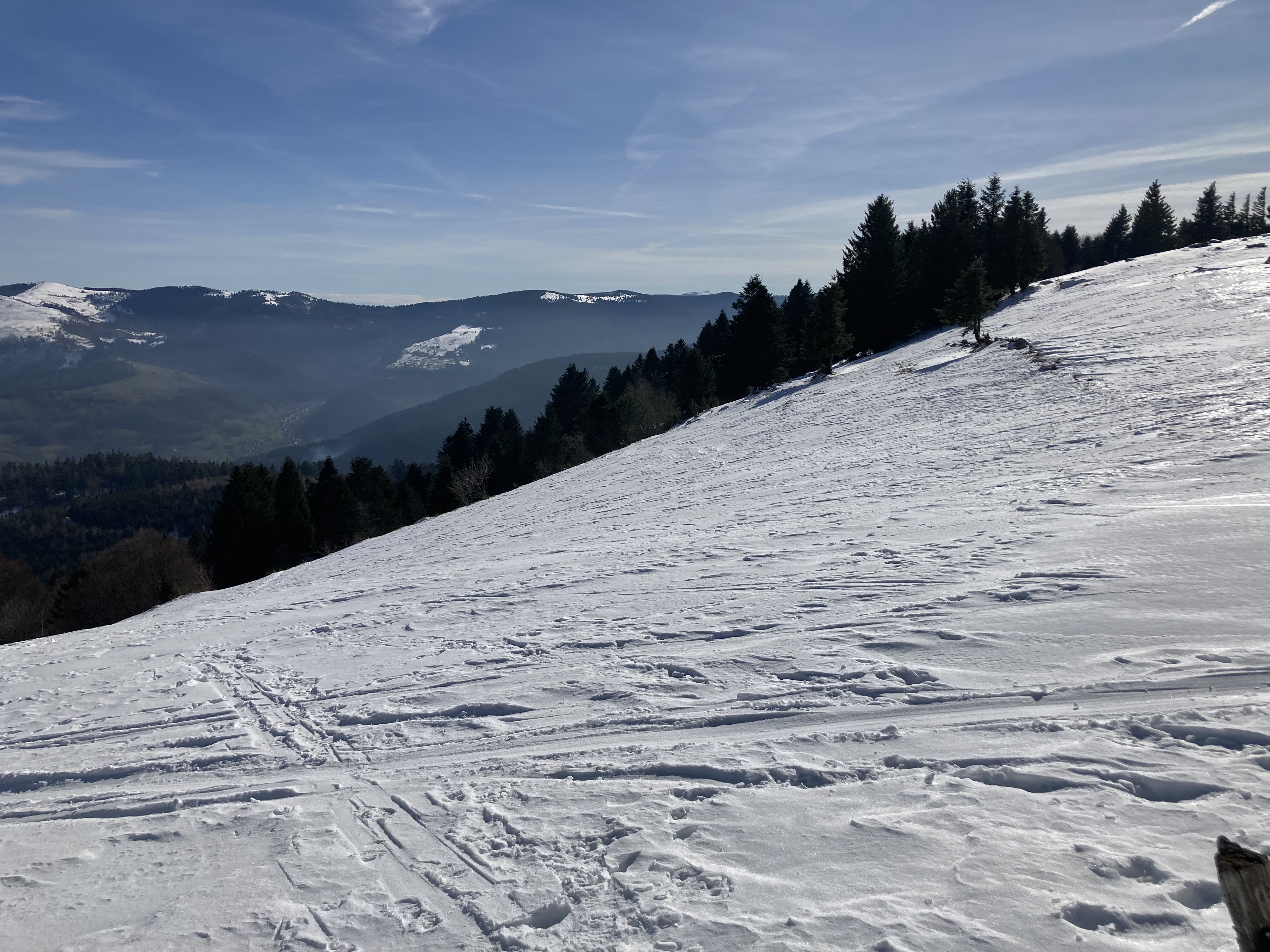 Photo n° 3 de l'avis de mathieu.e fait le 24/02/2023 à 17:09