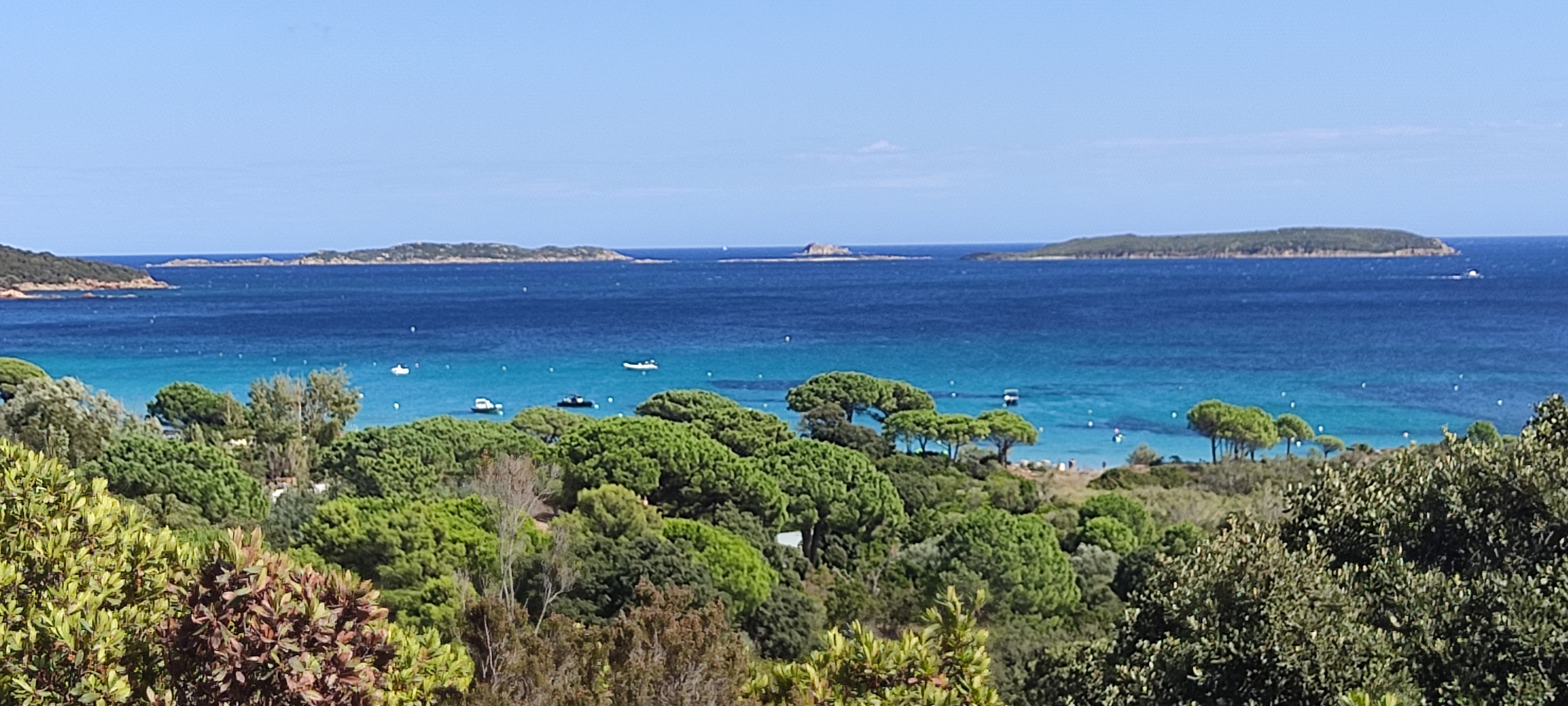 Photo n° 1 de l'avis de Nicolas.e fait le 19/09/2021 à 12:47