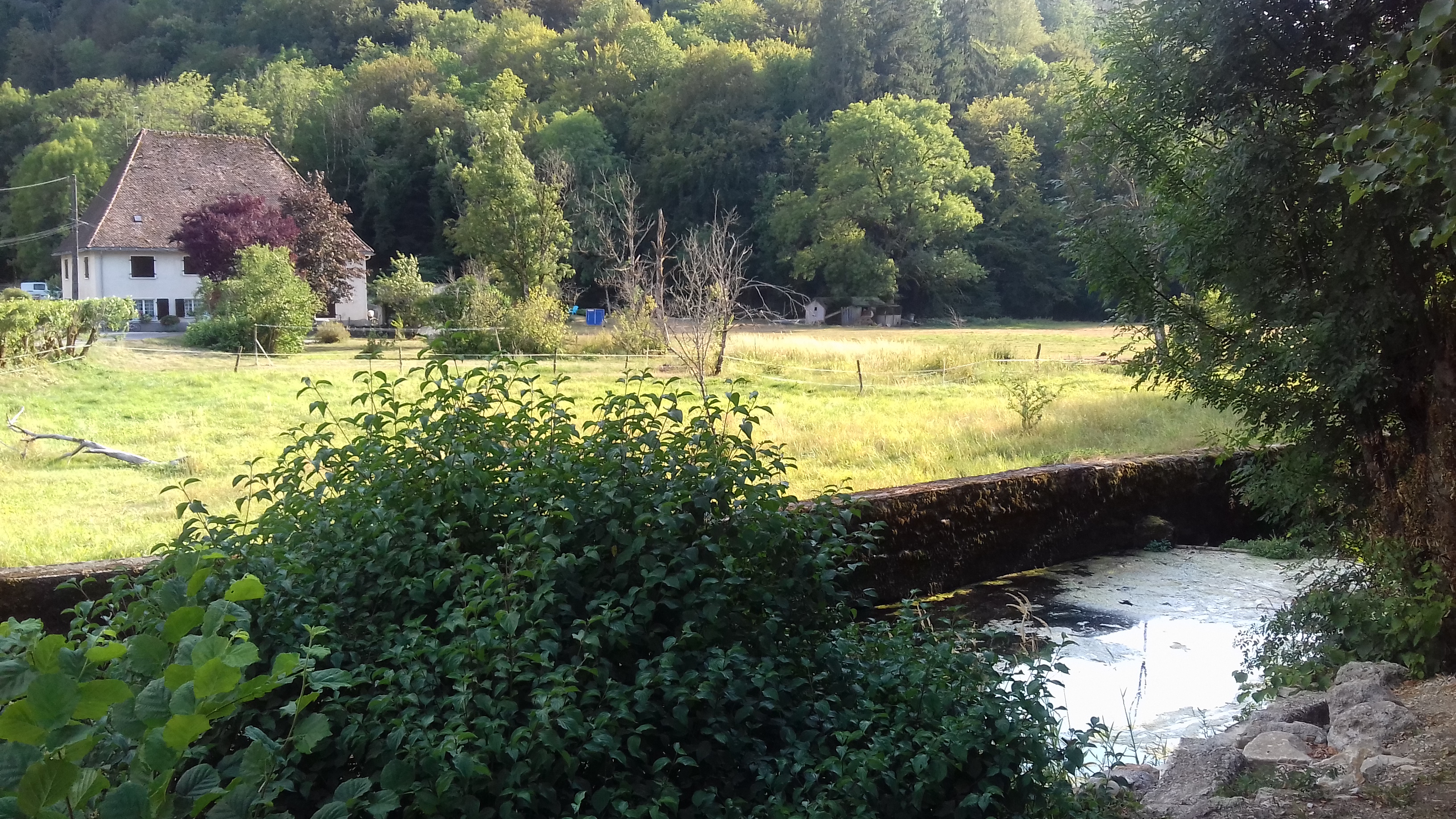 Photo n° 1 de l'avis de Compernolle.n fait le 26/07/2019 à 18:50