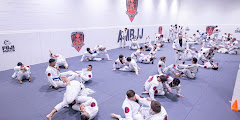 Alex Martins Brazilian Jiu Jitsu