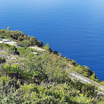 Photo n°24 de l'avis de Federico.a fait le 05/09/2022 à 11:38 sur le  Il Borgo di Campi à Riomaggiore