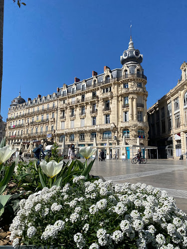 Agence immobilière Colombet Immobilier Montpellier