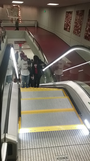 Arena «Mccracken Court at Simon Skjodt Assembly Hall», reviews and photos, 1001 E 17th St, Bloomington, IN 47408, USA