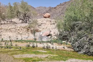 Wadi Finan image