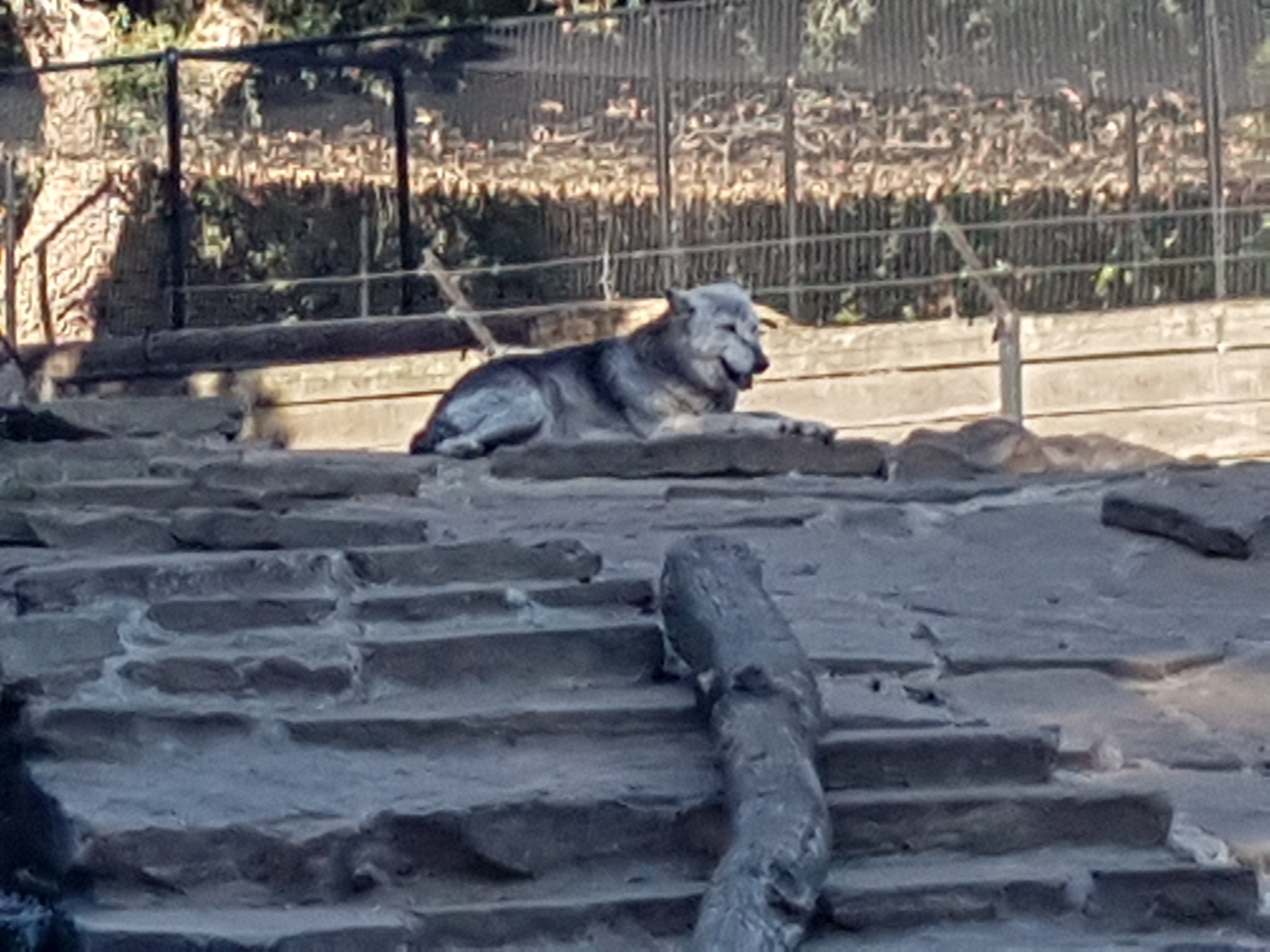 Photo n° 19 de l'avis de mathieu.i fait le 29/09/2019 à 18:29