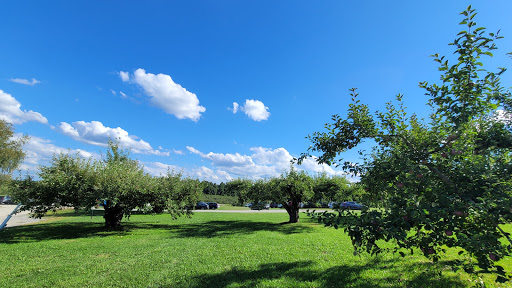 Winery «Nashoba Valley Winery», reviews and photos, 100 Wattaquadock Hill Rd, Bolton, MA 01740, USA